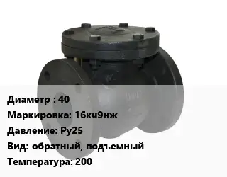 Клапан чугунный 40 16кч9нж Ру25 обратный, подъемный 200